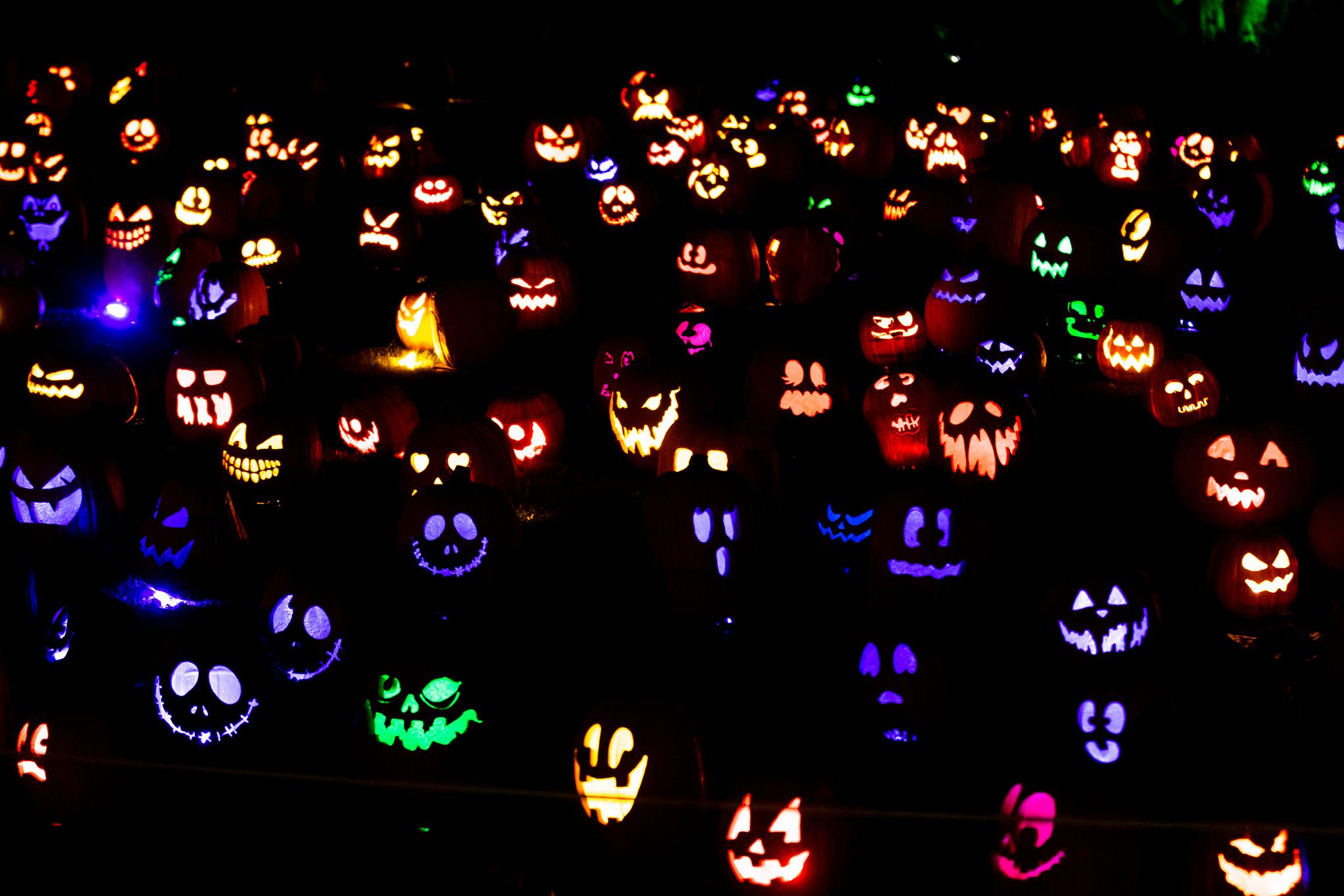 Many, many carved and illuminated pumpkins