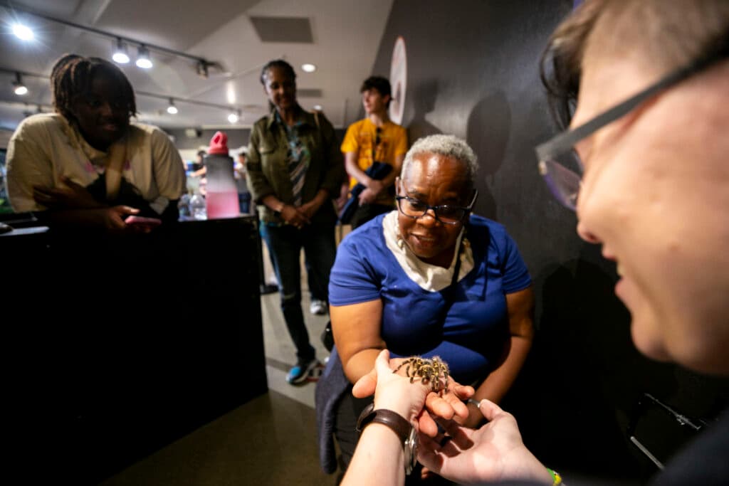 A woman in blue stretches out her hand as someone in the foreground gingerly places a hairy tarantula onto her palm. People around watch with glee.