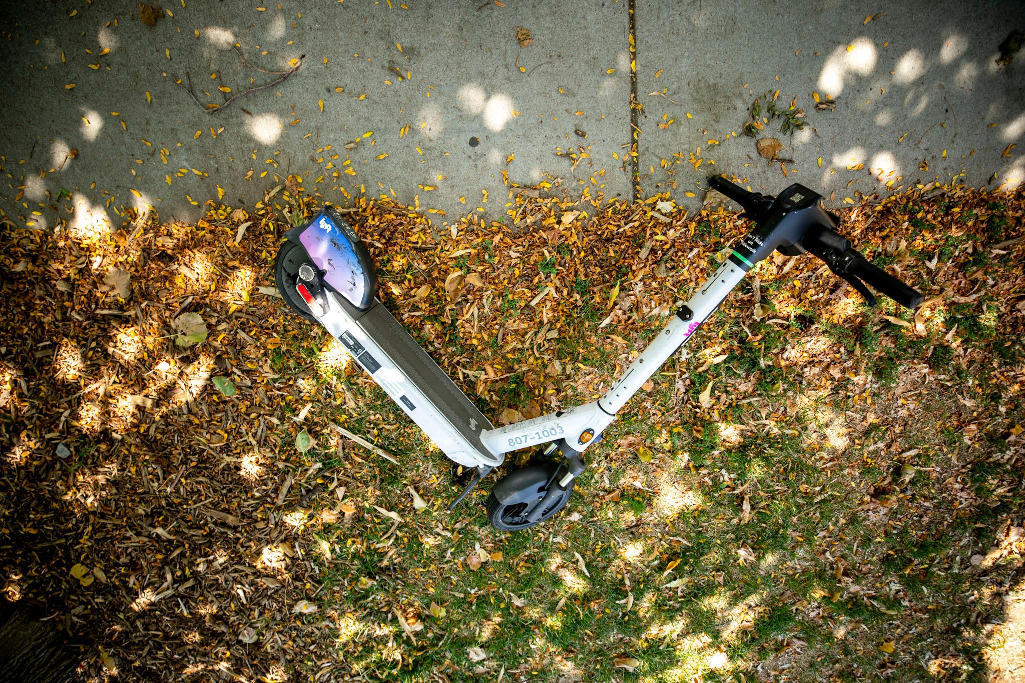 A scooter makes a right angle in this top-down image, laying on a bed of dead leaves, grass and concrete. Patches of light shine down on it, poking through the shade of a tree above.