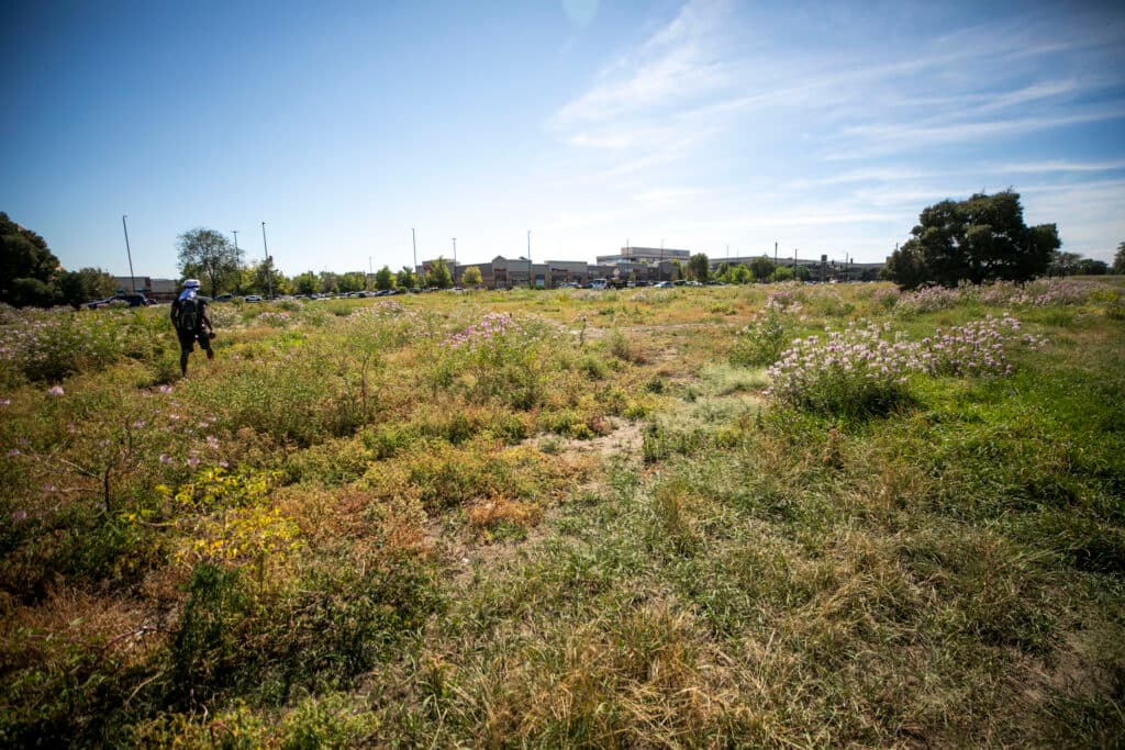 Grass fills a meadow, as a lone man walks across it; in the background, we can see a strip mall.