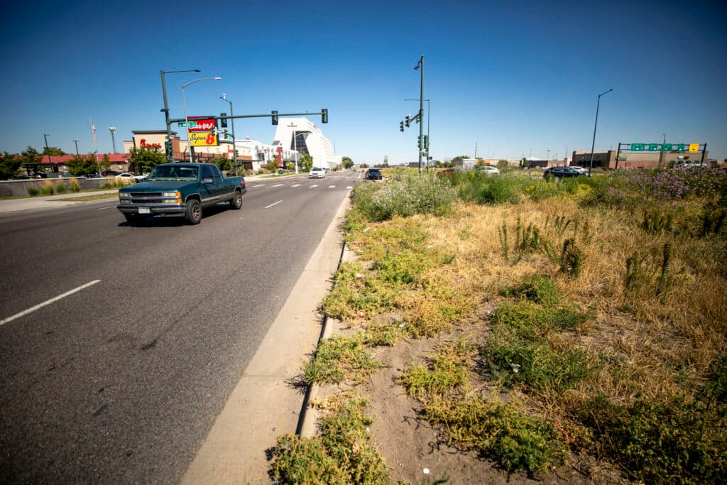 A curb splits the frame; on the right side is a meadow with yellow and green grasses. On the left: cars and strip malls.