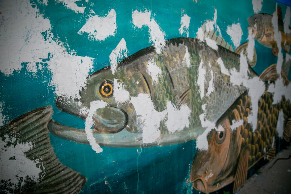 A painted fish, with large patches of missing paint, stares back at the camera.