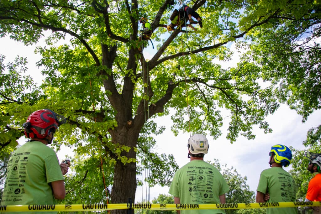 Edward Cruise prepares to lower a large, human dummy from a tree, while a group of four men in helmets and safety glasses look up at him from the ground.