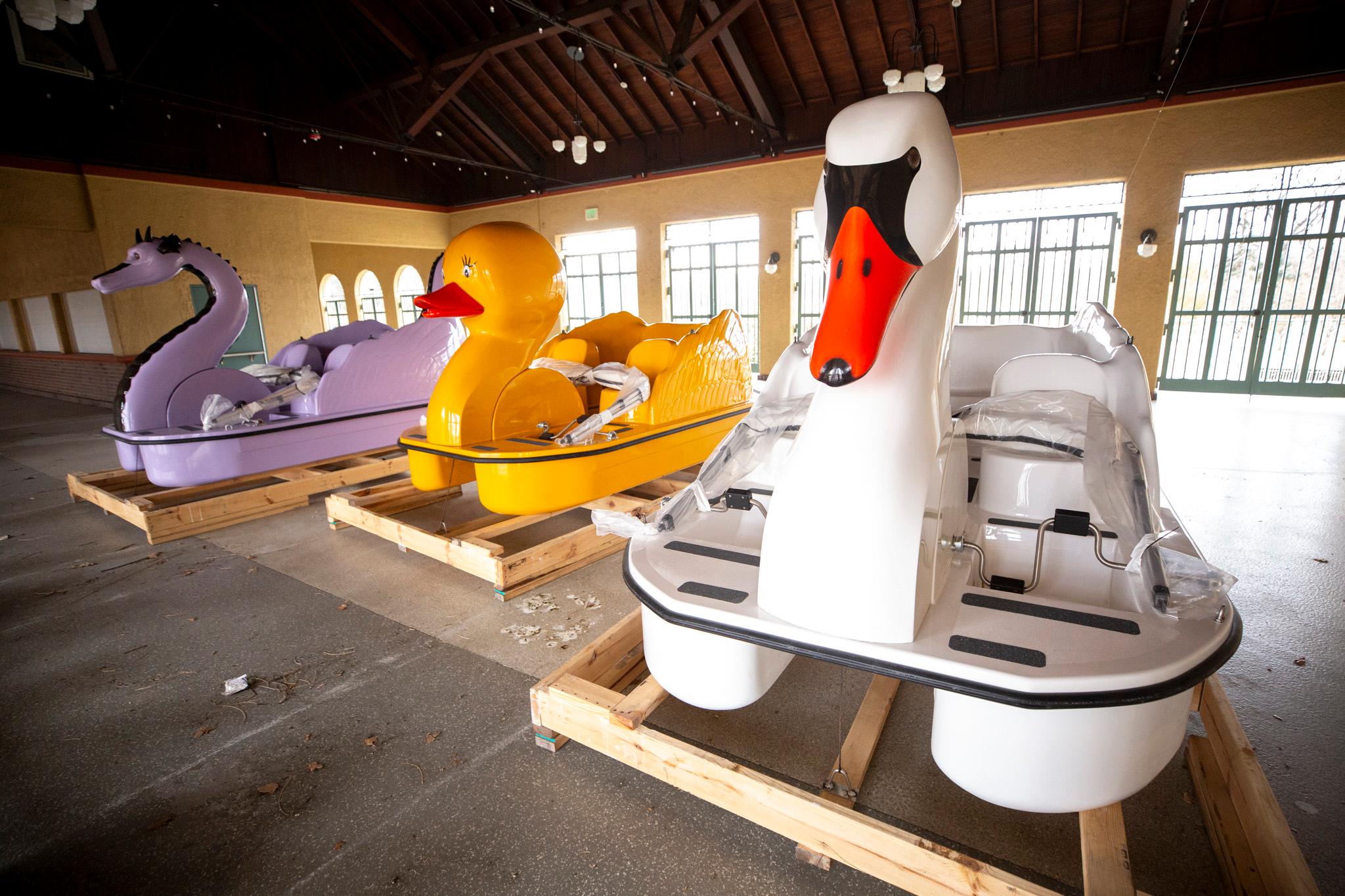 Three paddle boats sit in a bright yellow room: A purple dragon with a curving neck, a yellow ducky and a white swan with an orange beak.