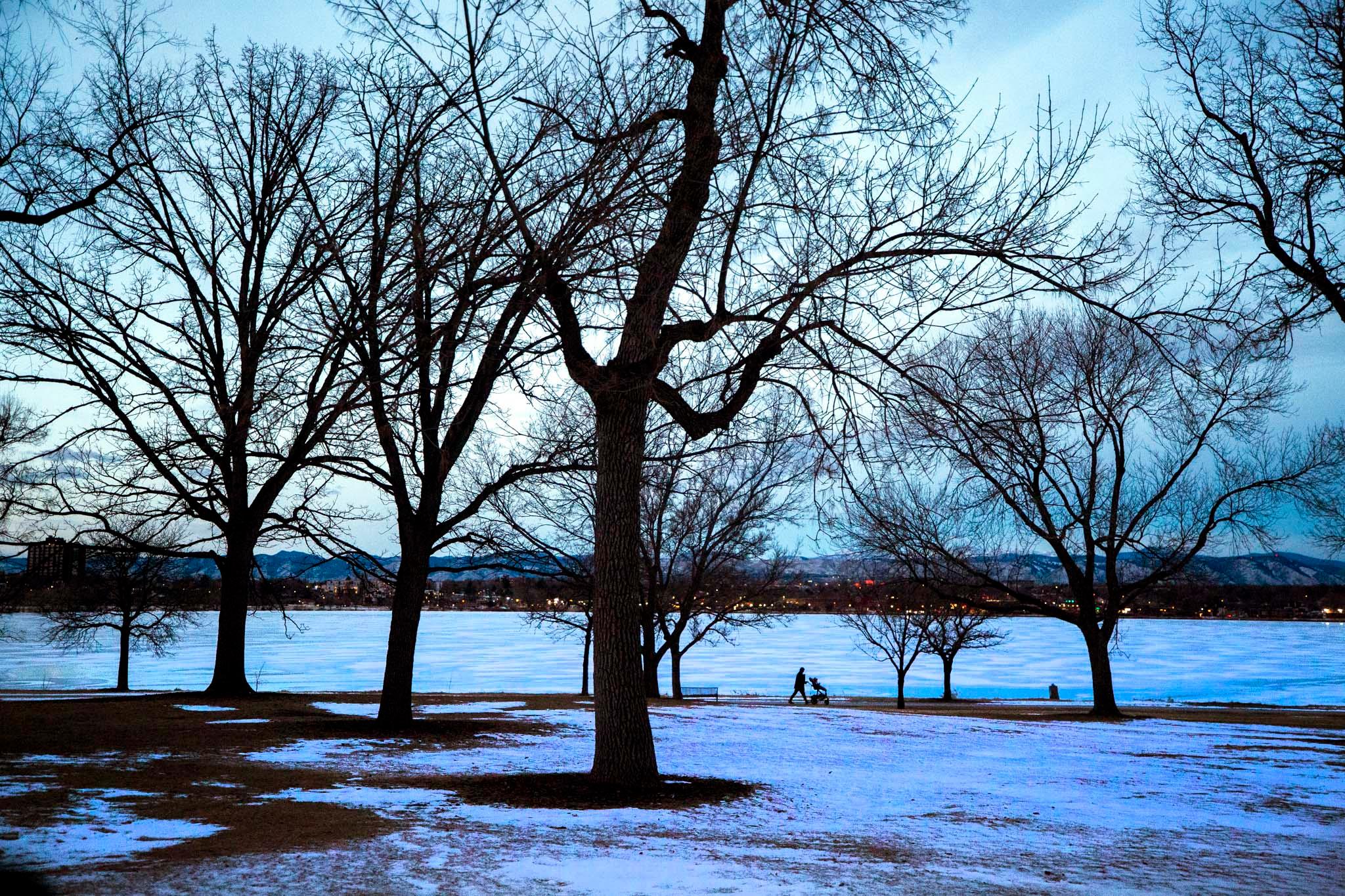 The foreground is dominated by leafless tree silhouettes. Beneath them is the shape of a person with a stroller. The sky, and a frozen lake in the background, glow blue.