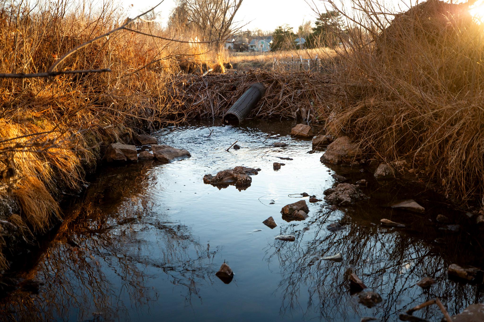 Warm light from the setting sun shines over a heap of sticks laying across a reflective blue creek. A black plastic tube juts through the mound.
