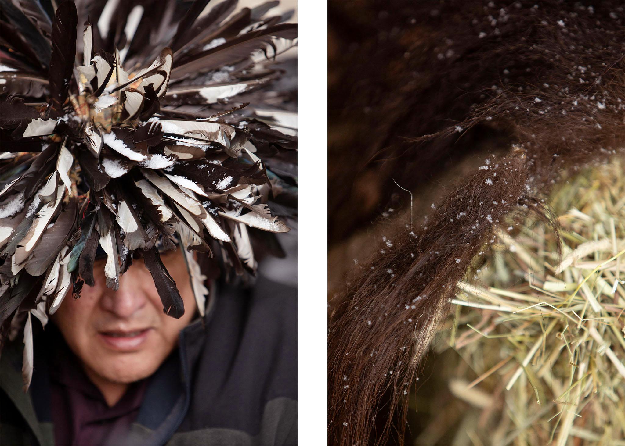 A spit image: On the left, a man wears a collection of black and white feathers on his head. On the right, brown fur on a bale of hay is peppered with white snowflakes.