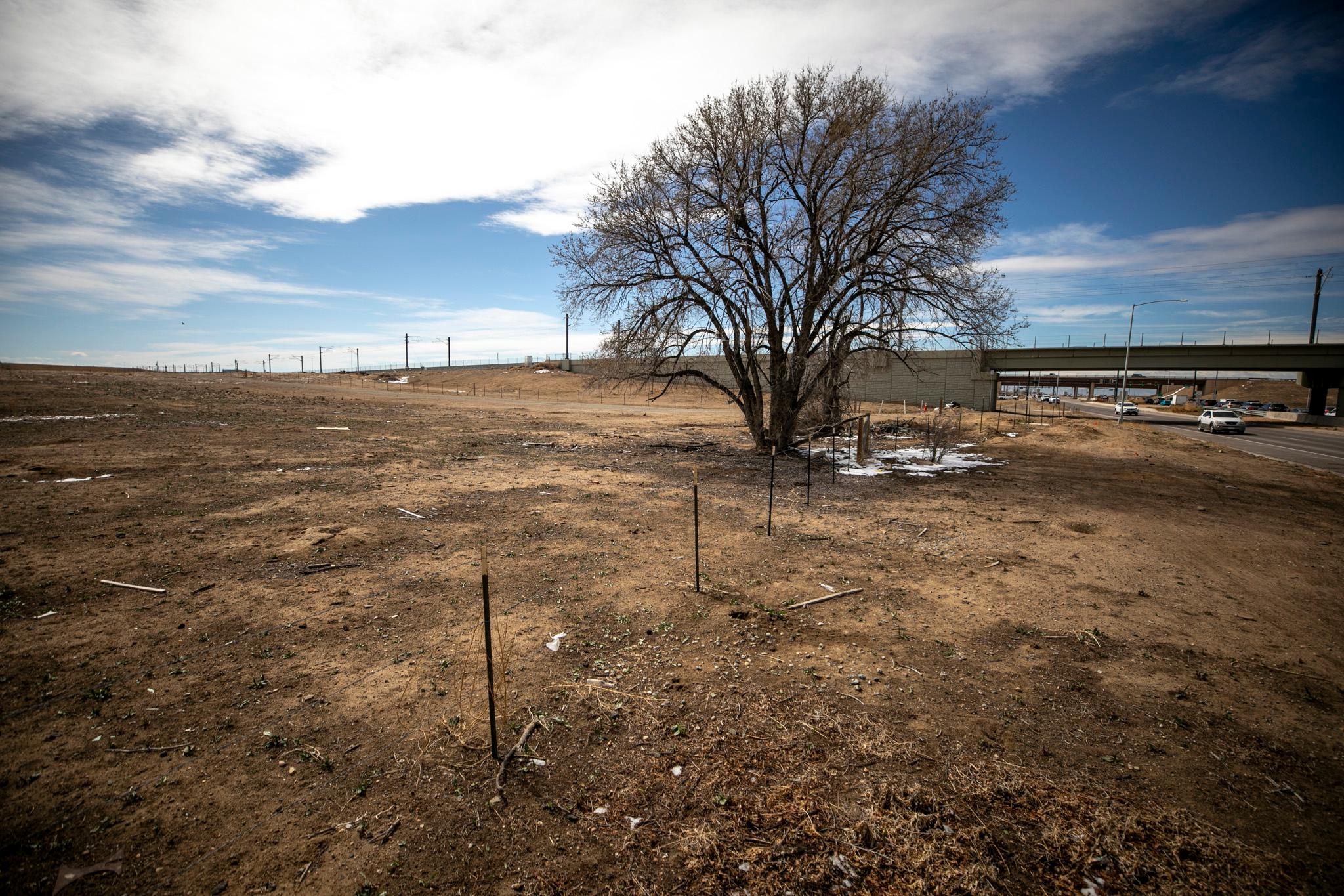A dirt lot with a leafless tree and a concrete train bridge rising in the distance. A